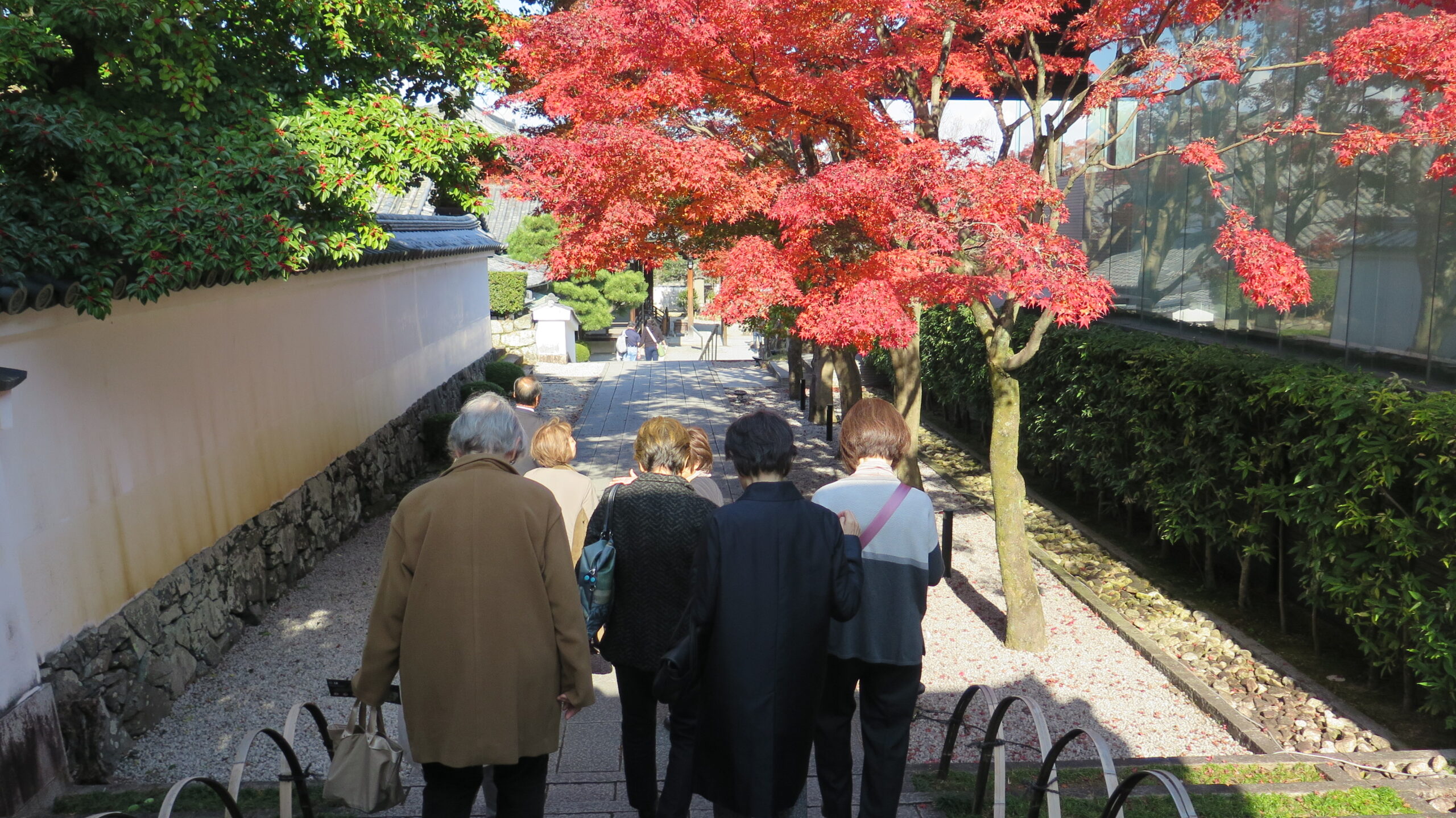 New Membership Renewal Process College Women's Association of Japan